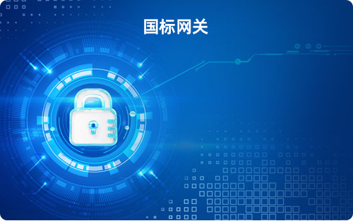 GB28181国标网关